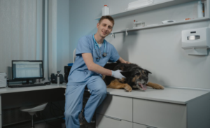 Veterinary Marketing Tips